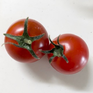 トマト 「フルーツトマト」