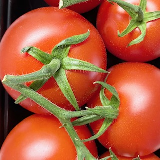 トマト 「カクテルトマト」 （栃木県産）