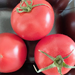 トマト 「徳谷トマト」