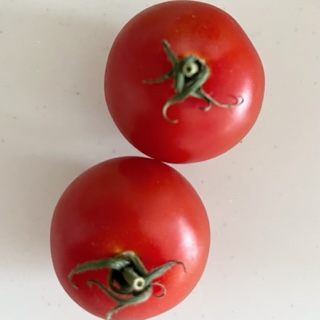トマト 「フルティカトマト」 （山梨県産）