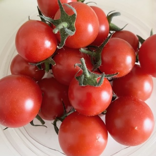 Classic Tomato （長野県産）-1