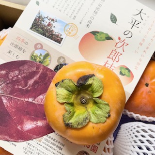 柿 「次郎柿」 （静岡県産）